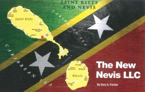 The New Nevis LLC